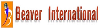 Beaver International India