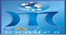 Mahima Worldwide Developers