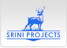 Srini Projects