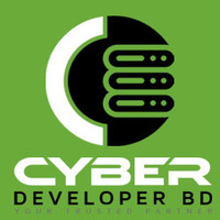 Cyber Developer