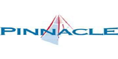 Pinnacle Construction