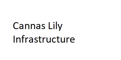 Cannas Lily Infrastructure