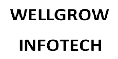 Wellgrow Infotech