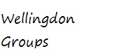 Wellingdon Groups