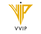 VVIP Builders