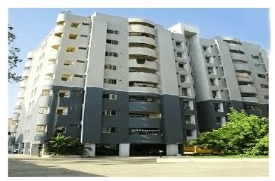 CeeDeeYes Regal Palm Gardens