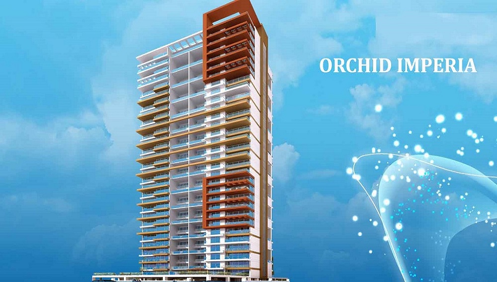 Sunny Orchid Imperia