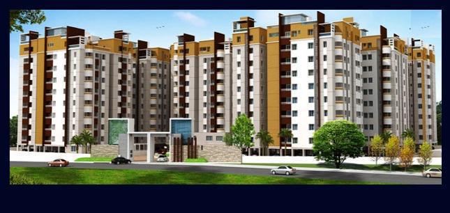 Pace Builders Pace Prana