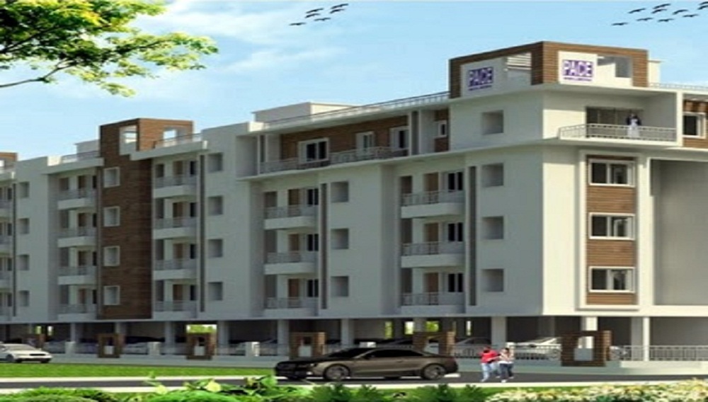 Pace Builders Pace Pantheon