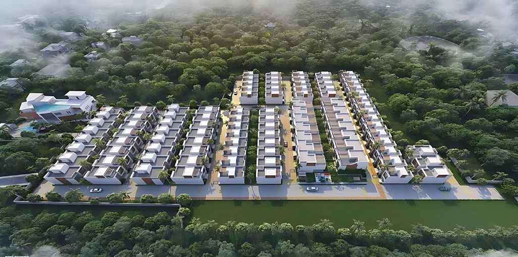 DTC Palm Grove