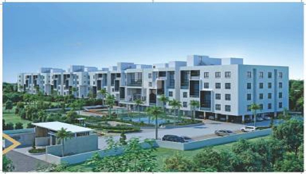 Sreenivasa Grass Land