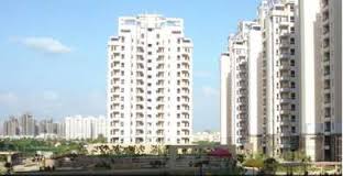 Sanjay Arora Floors 4