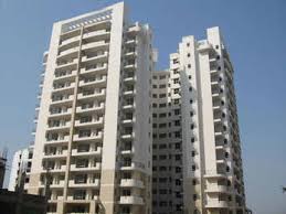 Shiv Rajasthan Tatawat Floors