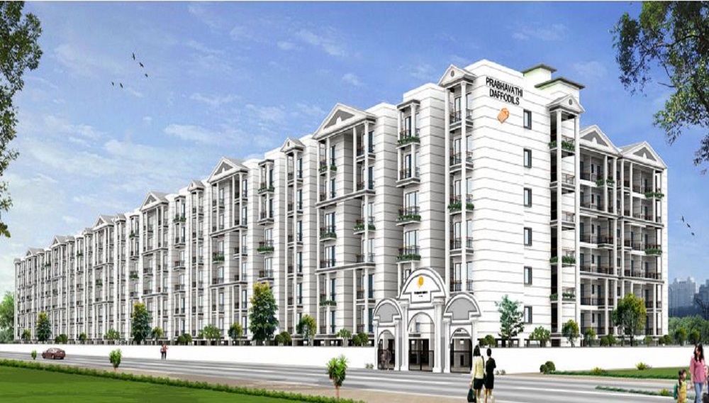 Prabhavathi Daffodils