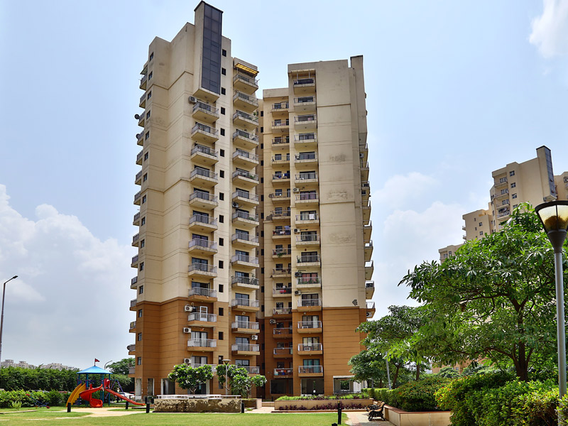 S S Delight And Splendours