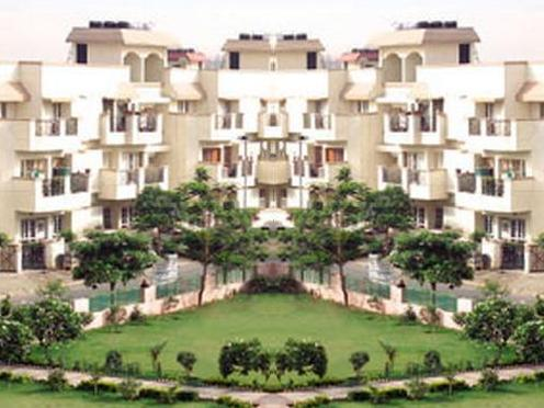 Orchid Mayfield Gardens