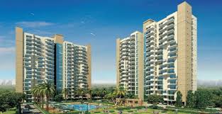 Today Royal Elegancia