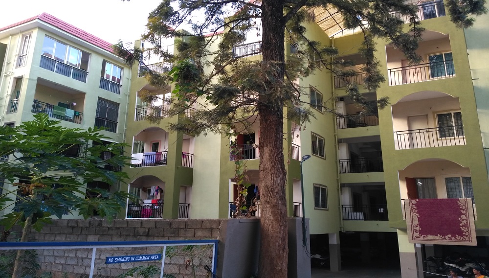 Himagiri Green Forest