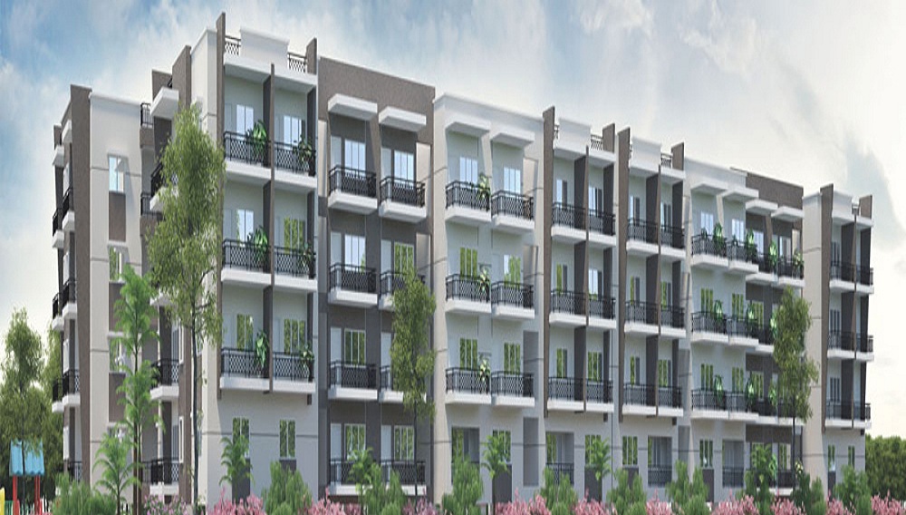 Adithya Desai Orchid