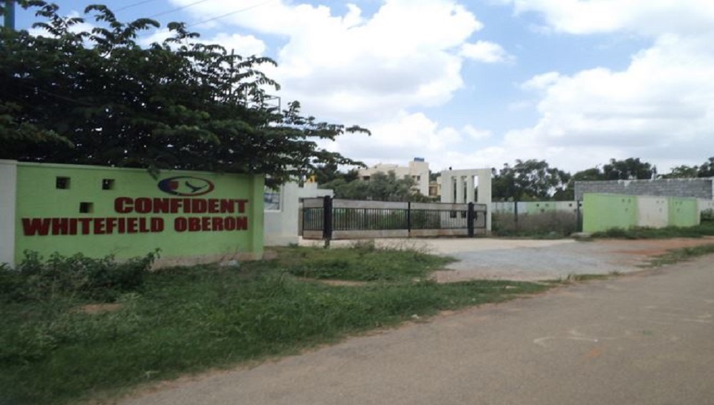 Confident Whitefield Oberon