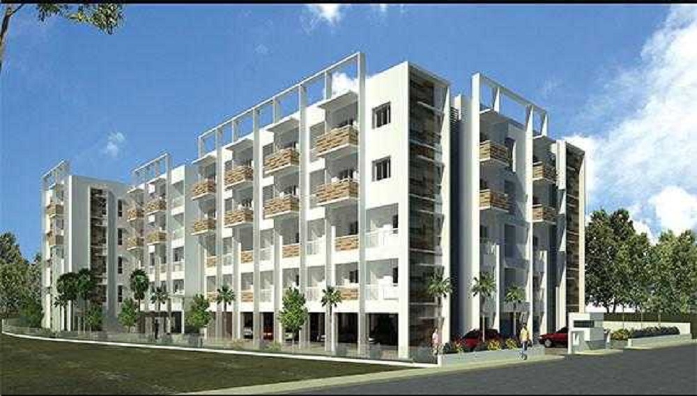 Radiant White Orchid