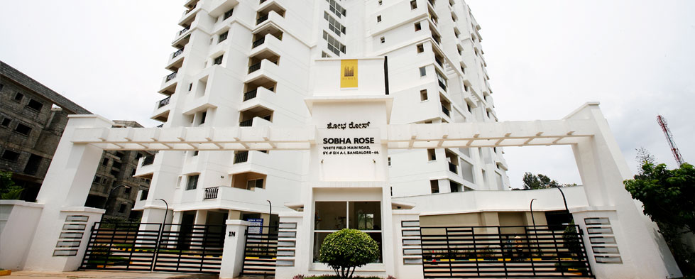 Sobha Rose