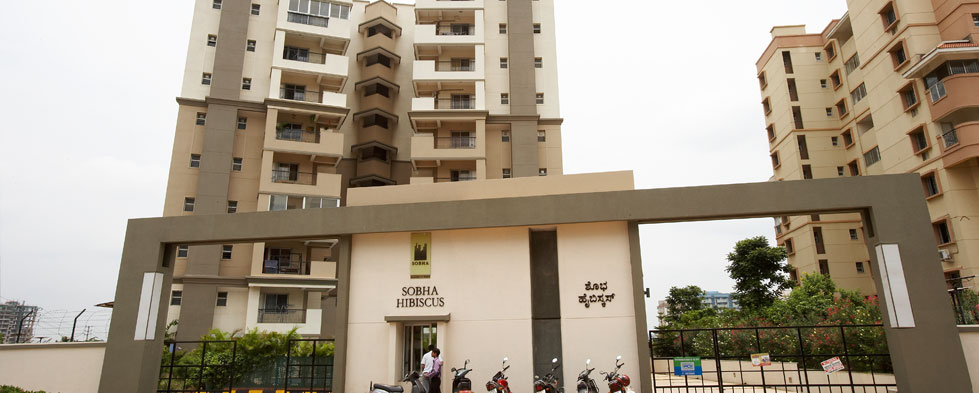 Sobha Hibiscus