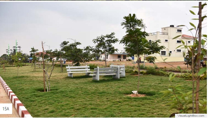 Gallery 3