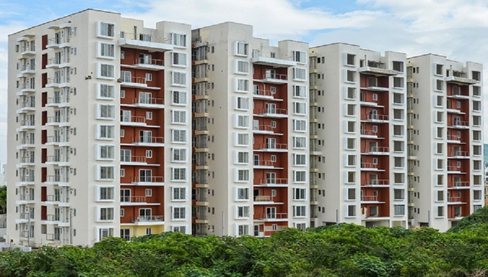 Big Banyan Angel Lake View