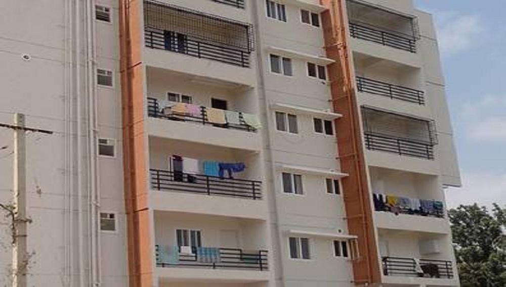 Chethana VS Sunshine