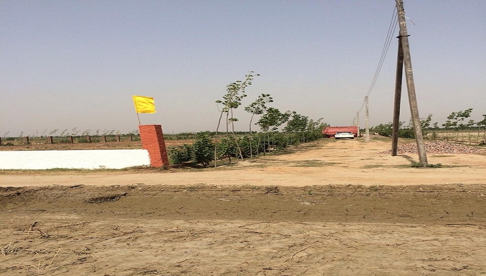 S R Daksha Green Farms
