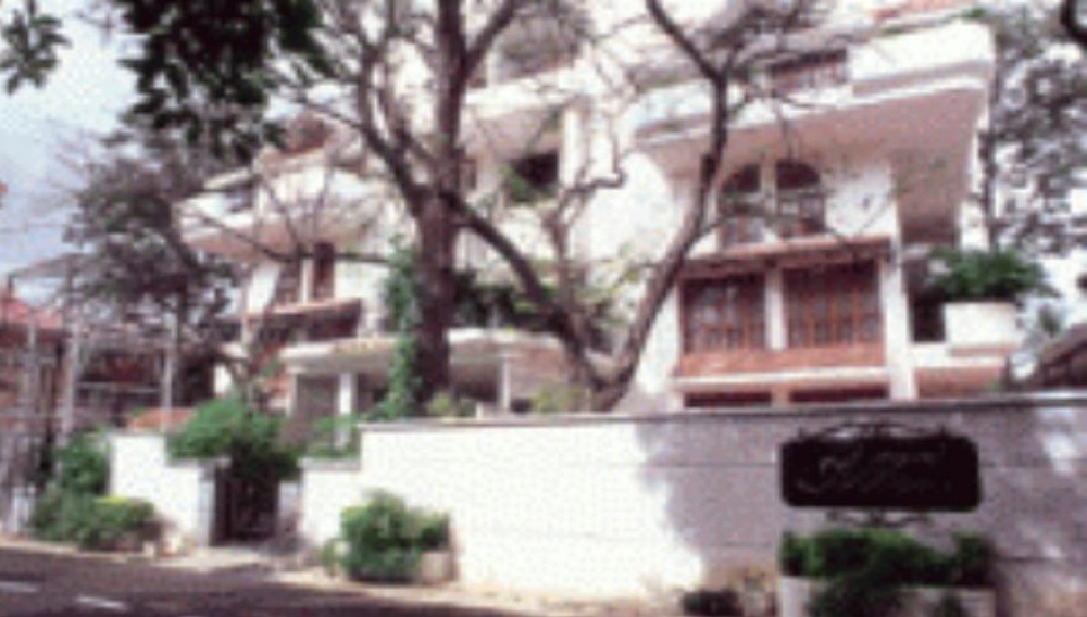 East Coast Rockline Amyand Regency