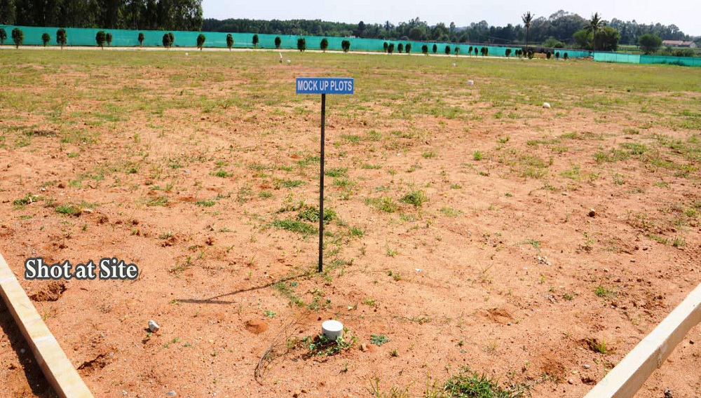 Koolz Platinum Hill R.t. Nagar Bangalore Reviews, Price, Address