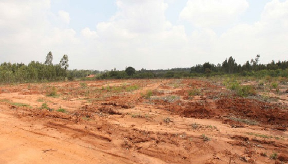 M And M Krishna Greens