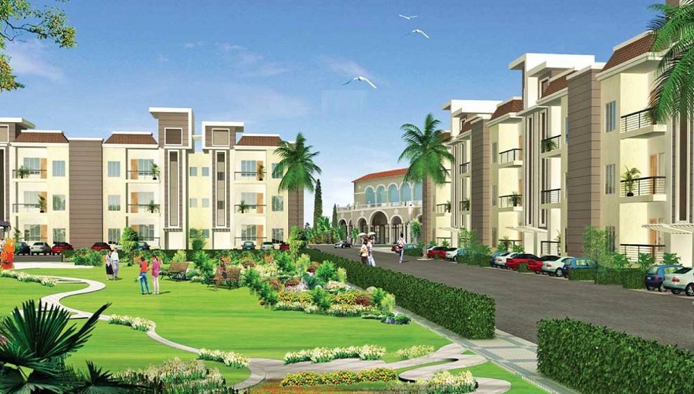 Sare Springview Floors