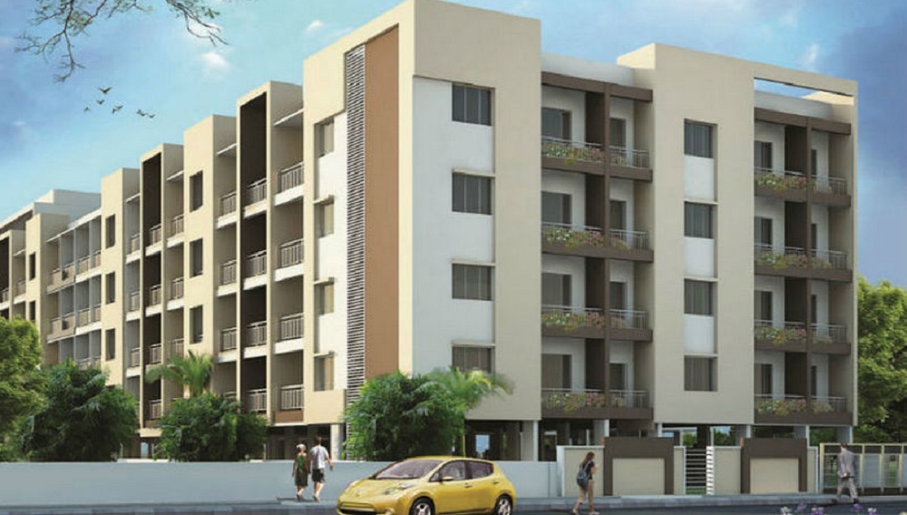 Maan Sri Balaji Sunflower