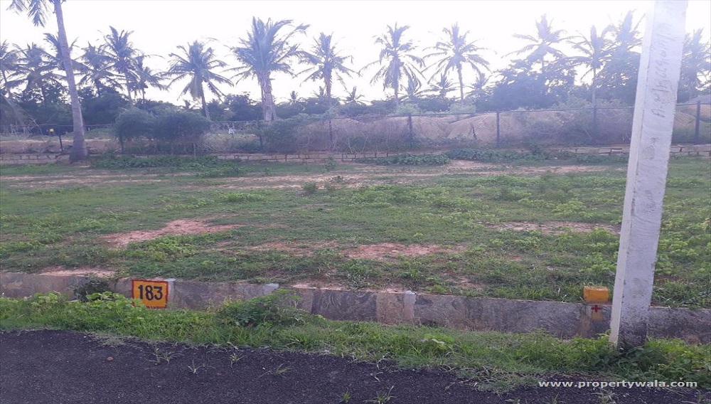 Ms Ramaiah North East County Yelahanka Bangalore Reviews, Price