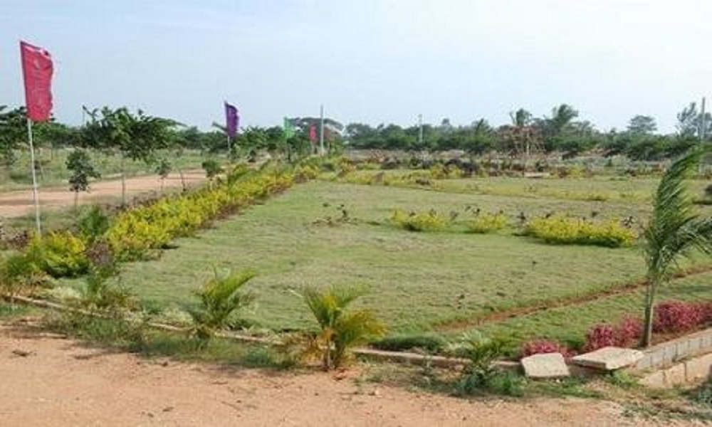 Novel Nests Edge Water