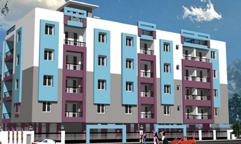 Pacific Sparrow Wings