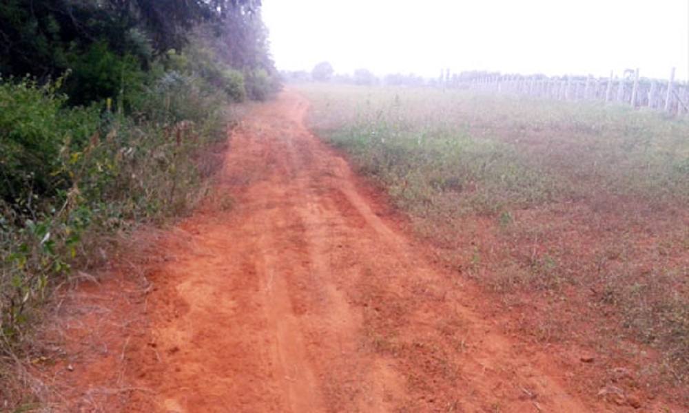 Puravankara Purva Garden City