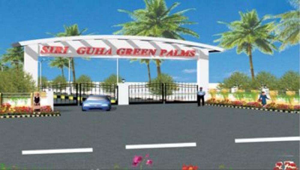 Siri Guha Green Palms