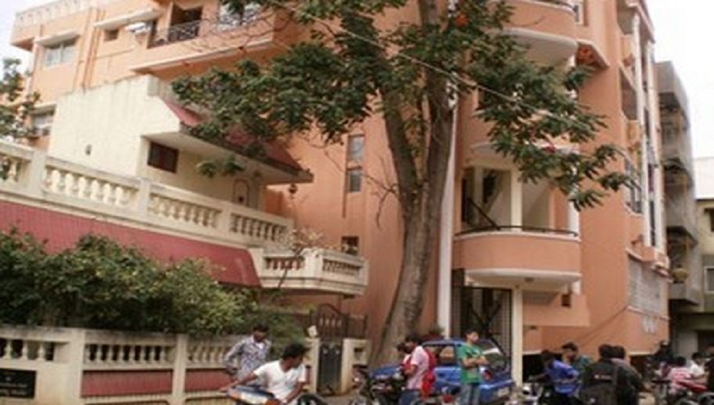 Skylark Emerald Nest