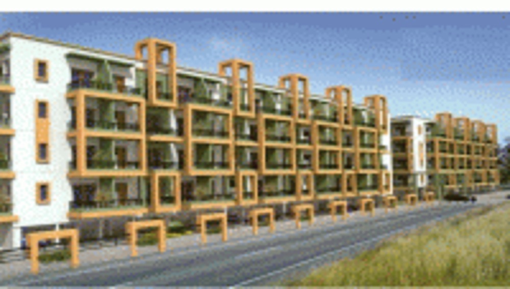 Project name
