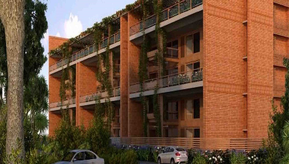 Total Van Goghs Garden