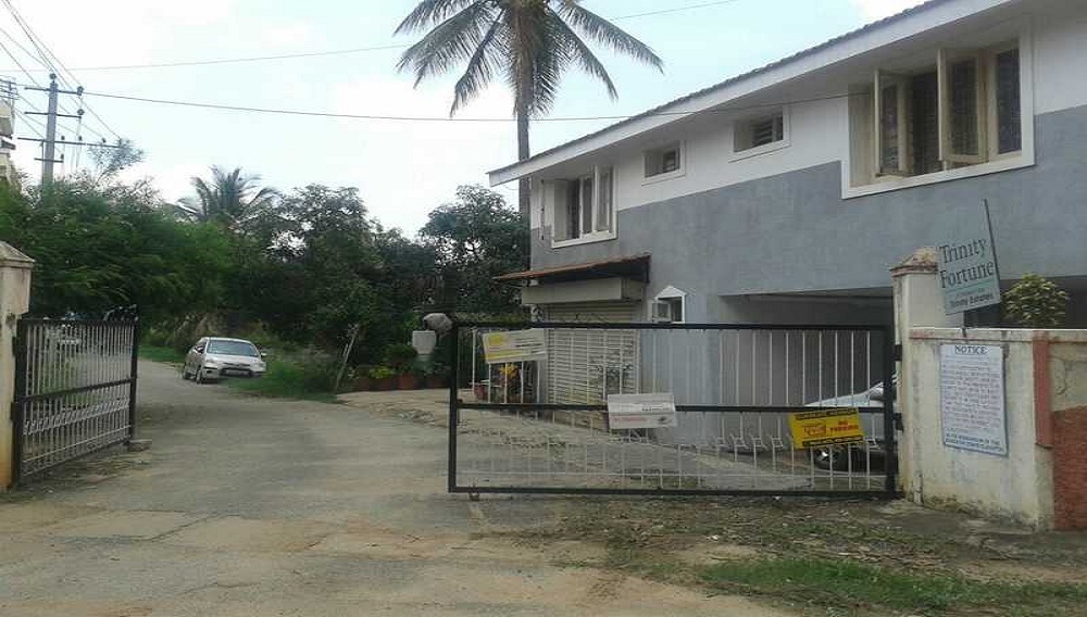 Trine Holdings Trinity Fortune