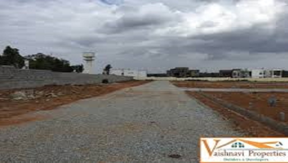 Vaishnavi NYSA Spring Field