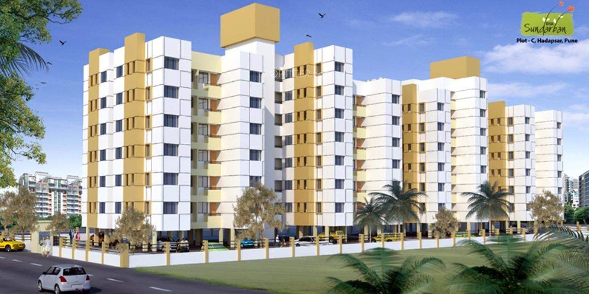 DS Kulkarni Sundarban