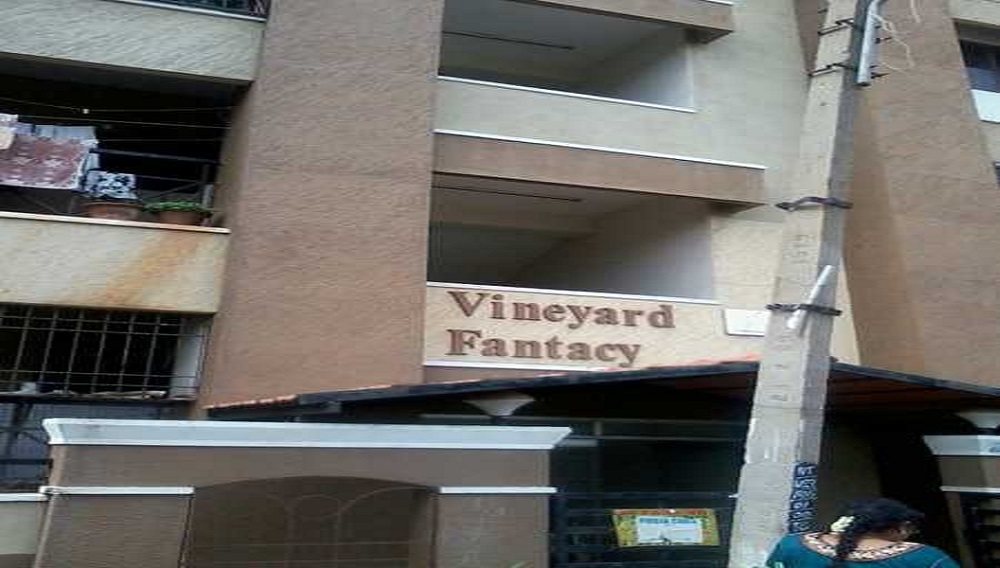Vineyard Fantasy