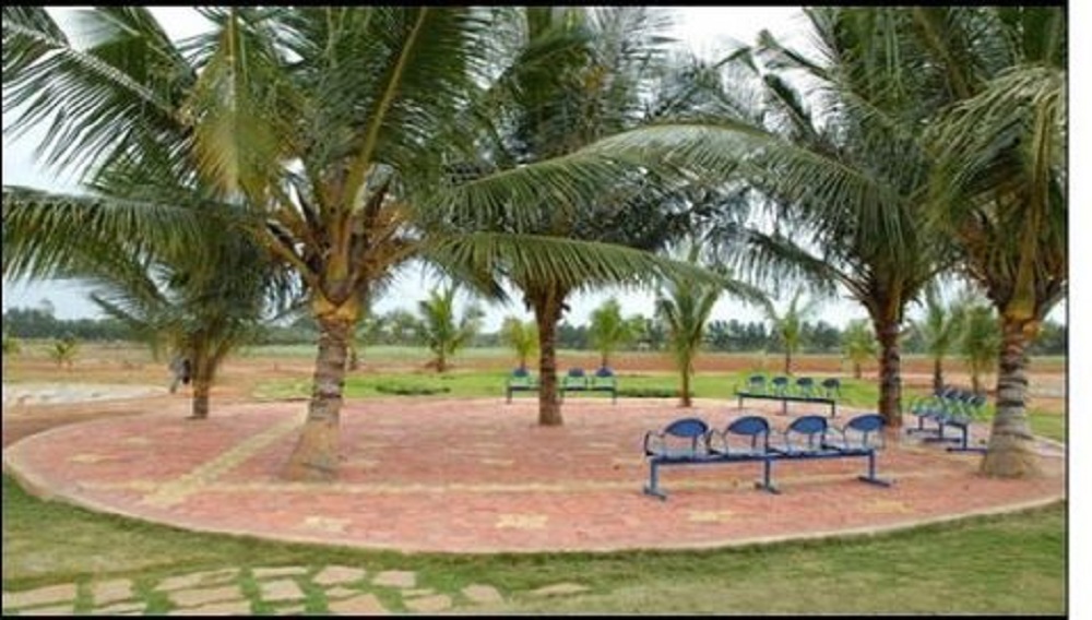 Novel Nests Silicon Gateway