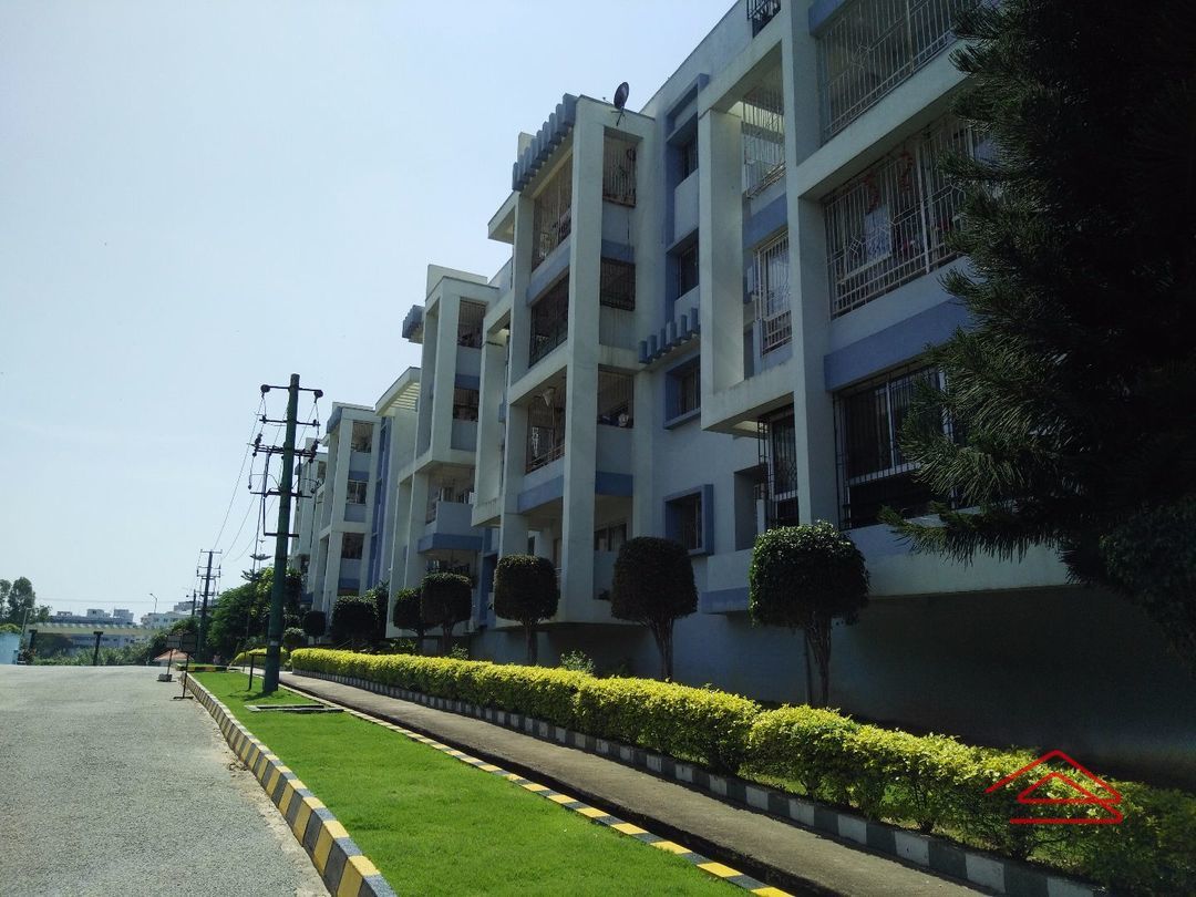 Corporate Leisure Euphoria